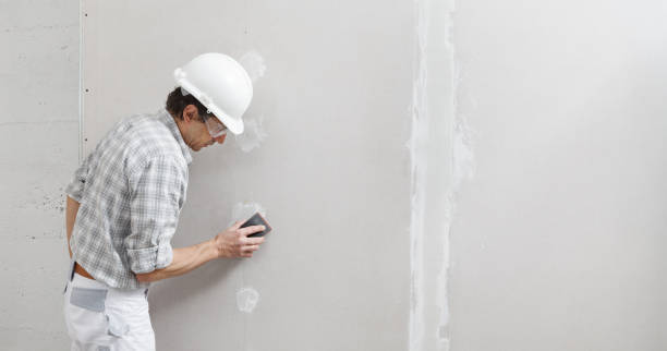 Best Fire-Damaged Drywall Repair  in Cedar Mill, OR